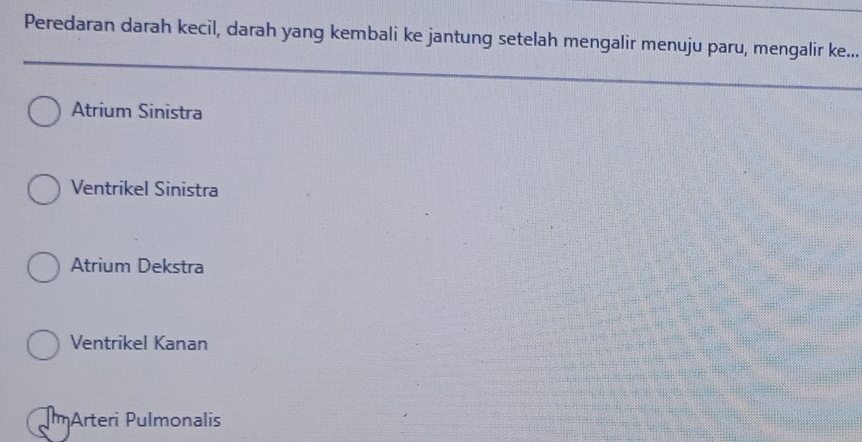 Peredaran darah kecil, darah yang kembali ke jantung setelah mengalir menuju paru, mengalir ke...
Atrium Sinistra
Ventrikel Sinistra
Atrium Dekstra
Ventrikel Kanan
mArteri Pulmonalis