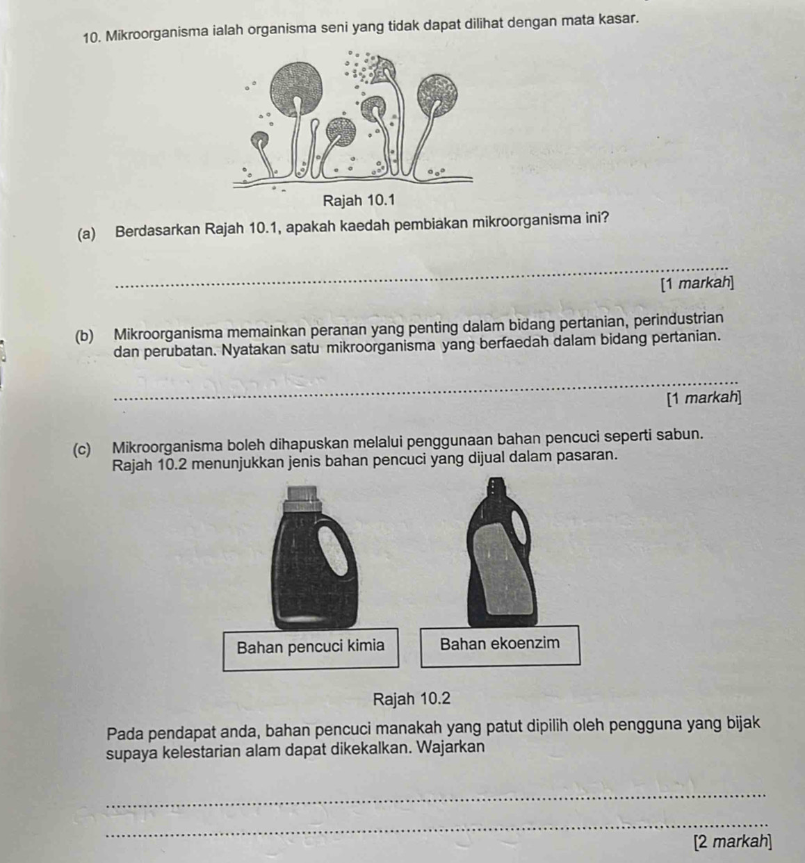 Mikroorganisma ialah organisma seni yang tidak dapat dilihat dengan mata kasar. 
(a) Berdasarkan Rajah 10.1, apakah kaedah pembiakan mikroorganisma ini? 
_ 
[1 markah] 
(b) Mikroorganisma memainkan peranan yang penting dalam bidang pertanian, perindustrian 
dan perubatan. Nyatakan satu mikroorganisma yang berfaedah dalam bidang pertanian. 
_ 
[1 markah] 
(c) Mikroorganisma boleh dihapuskan melalui penggunaan bahan pencuci seperti sabun. 
Rajah 10.2 menunjukkan jenis bahan pencuci yang dijual dalam pasaran. 
Rajah 10.2 
Pada pendapat anda, bahan pencuci manakah yang patut dipilih oleh pengguna yang bijak 
supaya kelestarian alam dapat dikekalkan. Wajarkan 
_ 
_ 
[2 markah]