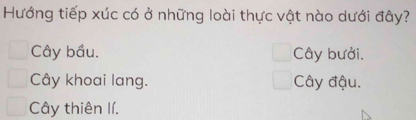 Hướng tiếp xúc có ở những loài thực vật nào dưới đây?
Cây bầu. Cây bưởi.
Cây khoai lang. Cây đậu.
Cây thiên lí.