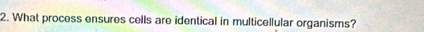 What process ensures cells are identical in multicellular organisms?