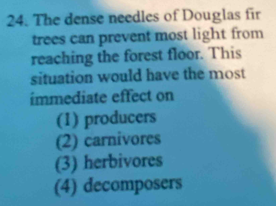 The dense needles of Douglas fir
trees can prevent most light from
reaching the forest floor. This
situation would have the most
ímmediate effect on
(1) producers
(2) carnivores
(3) herbivores
(4) decomposers