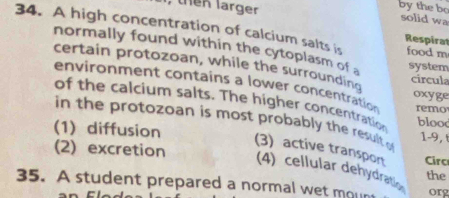 then larger
bythe bo
solid wa
34. A high concentration of calcium salts is food m
Respirat
normally found within the cytoplasm of a system
certain protozoan, while the surrounding
circula
environment contains a lower concentration remo
oxyge
of the calcium salts. The higher concentration blooc
in the protozoan is most probably the result of
(1) diffusion
1-9,
(2) excretion
(3) active transport irc
4) cell ular dehydratio
the
35. A student prepared a normal wet moun org