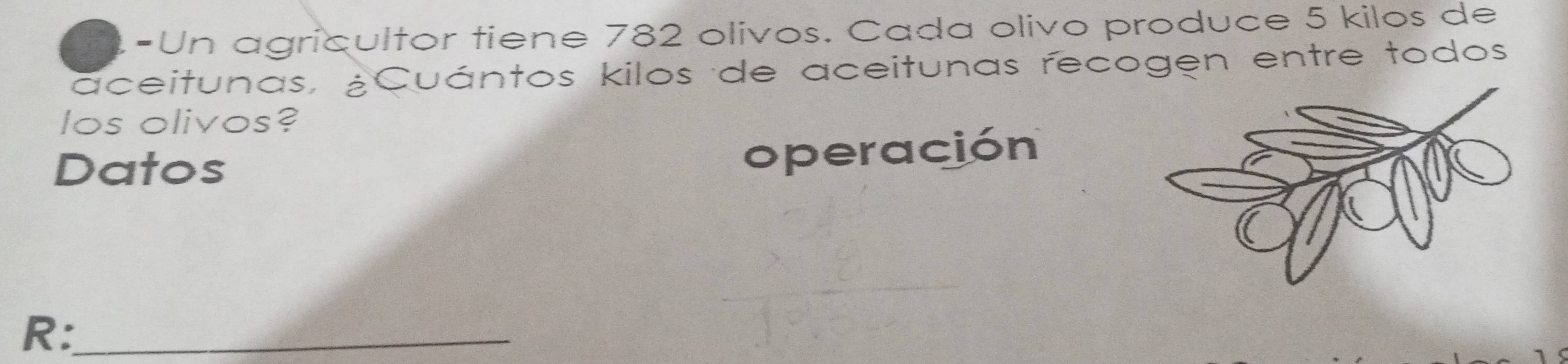 Un agricultor tiene 782 olivos. Cada olivo produce 5 kilos de 
aceitunas, ¿Cuántos kilos de aceitunas recogen entre todos 
los olivos? 
Datos 
operación 
R:_