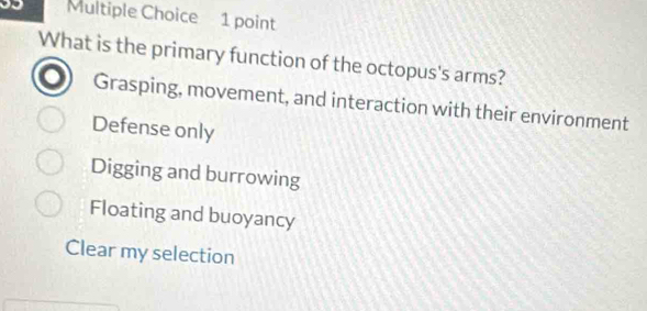 What is the primary function of the octopus's arms?
Grasping, movement, and interaction with their environment
Defense only
Digging and burrowing
Floating and buoyancy
Clear my selection