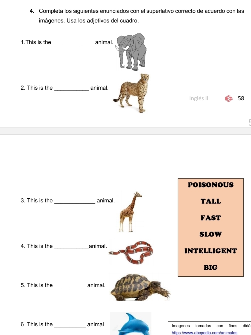 Completa los siguientes enunciados con el superlativo correcto de acuerdo con las
imágenes. Usa los adjetivos del cuadro.
_
1.This is the animal.
_
2. This is the animal.
Inglés III 58
POISONOUS
3. This is the_ animal. TALL
FAST
SLOW
4. This is the_ animal.
INTELLIGENT
BIG
_
5. This is the animal.
6. This is the_ animal. Imagenes tomadas con fines didá
https://www.abcpedia.com/animales