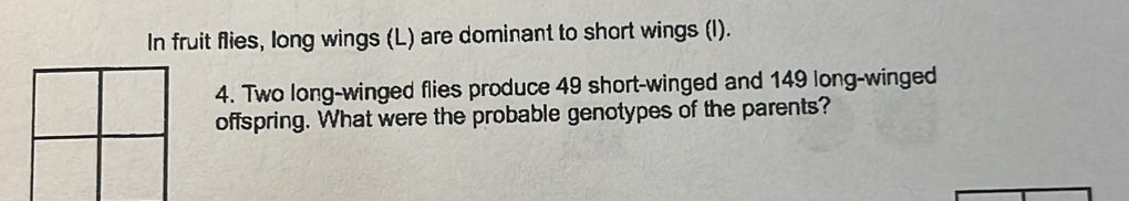 In fruit flies, long wings (L) are dominant to short wings (l). 
4. Two long-winged flies produce 49 short-winged and 149 long-winged 
offspring. What were the probable genotypes of the parents?