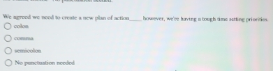 We agreed we need to create a new plan of action_ however, we're having a tough time setting priorsties.
colon
semicolon
No punctuation needed