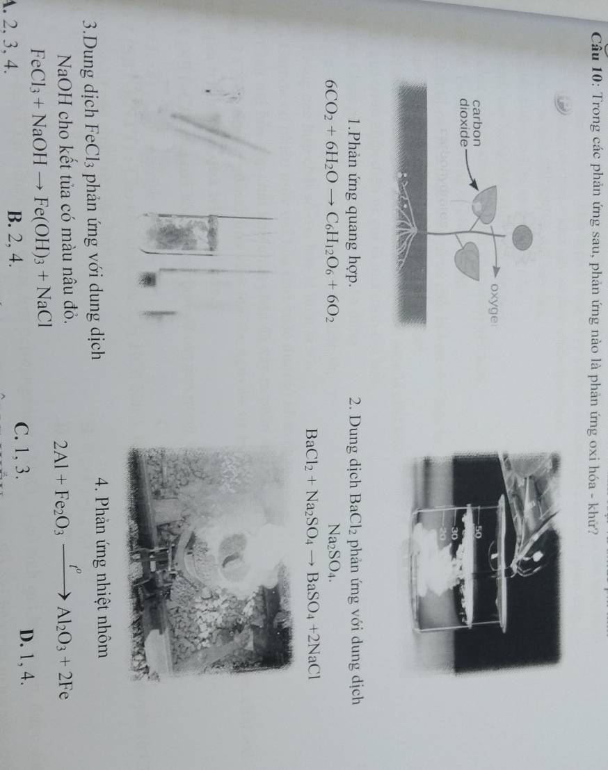 Cầu 10: Trong các phản ứng sau, phản ứng nào là phản ứng oxi hóa - khử?
1.Phản ứng quang hợp. 2. Dung dịch BaCl_2 phản ứng với dung dịch
6CO_2+6H_2Oto C_6H_12O_6+6O_2
Na_2SO_4.
BaCl_2+Na_2SO_4to BaSO_4+2NaCl
3.Dung dịch Fe Cl_3 phản ứng với dung dịch 4. Phản ứng nhiệt nhôm
NaOH cho kết tủa có màu nâu đỏ.
2Al+Fe_2O_3xrightarrow t_2Al_2O_3+2Fe
FeCl_3+NaOHto Fe(OH)_3+NaCl
A. 2, 3, 4. B. 2, 4.
C. 1, 3. D. 1, 4.