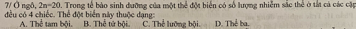 7/ Ở ngô, 2n=20. Trong tế bào sinh dưỡng của một thể đột biến có số lượng nhiễm sắc thể ở tất cả các cặp
đều có 4 chiếc. Thể đột biến này thuộc dạng:
A. Thể tam bội. B. Thể tứ bội. C. Thể lưỡng bội. D. Thể ba.