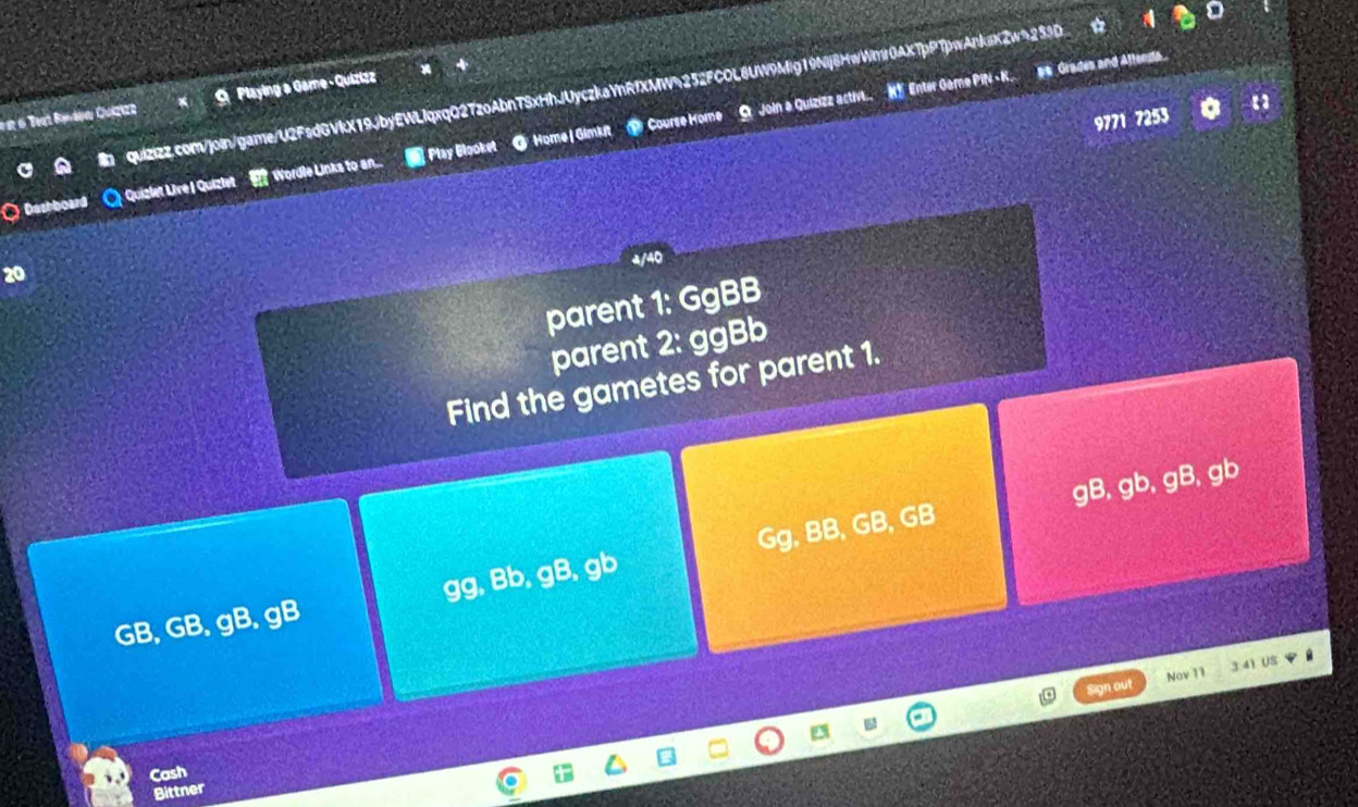 rat 6 Test Raváew Cuizizz Playing a Game - Quizizz 
Home| Gimkit Course Hore 
9771 7253 
○ Deshboard Q Quizlet Live I Quizlet Wordle Links to an... Play Blooket Q O Join a Quizizz activ... H Enter Game PIN - K.#6 Grades and Aftendla. 
4/40 
20 
parent 1: GgBB
parent 2: ggBb
Find the gametes for parent 1.
gB, gb, gB, gb
GB, GB, gB, gB gg, Bb, gB, gb Gg, BB, GB, GB
1 41 US 
Nov 11 
Cash 
Bittner