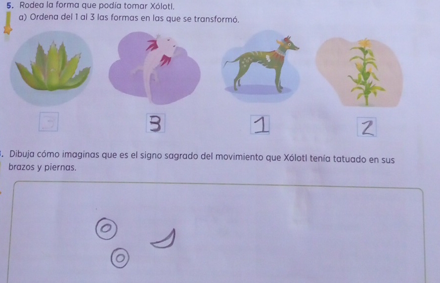 Rodea la forma que podía tomar Xólotl. 
a) Ordena del 1 al 3 las formas en las que se transformó. 
3. Dibuja cómo imaginas que es el signo sagrado del movimiento que Xólotl tenía tatuado en sus 
brazos y piernas.