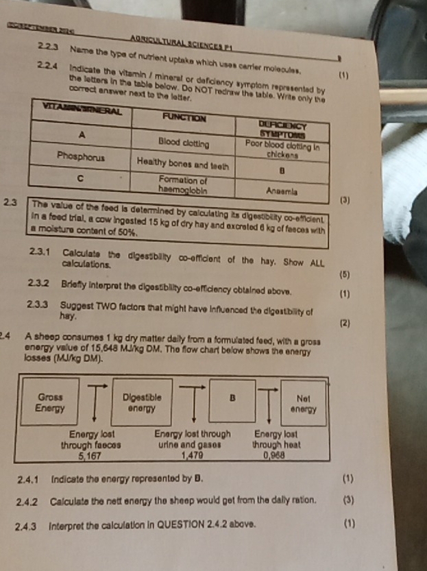 Cre ember 2014 AQríCULTURAL SCiENCES P1 
2.2.3 Name the type of nutrient uptake which uses carrier molecules. 
(1) 
2.2.4 Indicate the vitamin / mineral or deficiency symplom represented by 
the letters in the table below. Do NOT rednaw 
correct answer ne 
2lue of the feed is determined by calculating its digestibility co-efficient 
in a feed trial, a cow ingested 15 kg of dry hay and excreted 6 kg of fesces with 
a moisture content of 50%. 
2.3.1 Calculate the digestibility co-efficient of the hay, Show ALL 
calculations. (5) 
2.3.2 Briefly interpret the digestibility co-efficiency obtained above. (1) 
2.3.3 Suggest TWO factors that might have influenced the digestibility of 
hay. 
(2) 
.4 A sheep consumes 1 kg dry matter daily from a formulated feed, with a gross 
energy value of 15,648 MJrkg DM. The flow chart below shows the energy 
losses (MJ/kg DM). 
2.4.1 Indicate the energy represented by B. (1) 
2.4.2 Calculate the nett energy the sheep would get from the dally ration. (3) 
2.4.3 Interpret the calculation in QUESTION 2.4.2 above. 
(1)