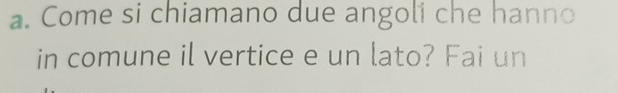 Come si chiamano due angoli che hanno 
in comune il vertice e un lato? Fai un