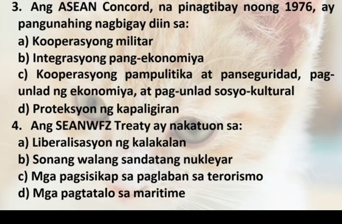 Ang ASEAN Concord, na pinagtibay noong 1976, ay
pangunahing nagbigay diin sa:
a) Kooperasyong militar
b) Integrasyong pang-ekonomiya
c) Kooperasyong pampulitika at panseguridad, pag-
unlad ng ekonomiya, at pag-unlad sosyo-kultural
d) Proteksyon ng kapaligiran
4. Ang SEANWFZ Treaty ay nakatuon sa:
a) Liberalisasyon ng kalakalan
b) Sonang walang sandatang nukleyar
c) Mga pagsisikap sa paglaban sa terorismo
d) Mga pagtatalo sa maritime