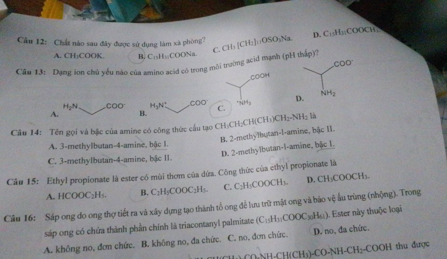 D. C_15H_31COOCH_3.
Câu 12: Chất nào sau đây được sử dụng làm xà phòng? CH_3[CH_2]_11OSO_3Na.
A. CH_3COOK B. C_15H_31 COONa. C.
Câu 13: Dạng ion chủ yếu nào của amino acid có trong môtrường acid mạnh (pH thấp)?
D.
H_2N
COO^- H_3N^+ COO^-
C.
A.
B.
Câu 14: Tên gọi và bậc của amine có công thức cấu tạo CH_3CH_2CH(CH_3)CH_2-NH_2
là
B. 2-methylbutan-l-amine, bậc II.
A. 3-methylbutan-4-amine, bậc I.
D. 2-methylbutan-l-amine, bậc I.
C. 3-methylbutan-4-amine, bậc II.
Câu 15: Ethyl propionate là ester có mùi thơm của dứa. Công thức của ethyl propionate là
A. HCOOC_2H_5.
B. C_2H_5COOC_2H_5. C. C_2H_5COOCH_3. D. CH_3COOCH_3.
Câu 16:  Sáp ong do ong thợ tiết ra và xây dựng tạo thành tổ ong đề lưu trữ mật ong và bảo vệ ấu trùng (nhộng). Trong
sáp ong có chứa thành phần chính là triacontanyl palmitate (C_15H_31COOC_30H_61). Ester này thuộc loại
A. không no, đơn chức. B. không no, đa chức. C. no, đơn chức. D. no, đa chức.
CO-NH-CH(CH_3)-CO-NH-CH_2-COOH thu được