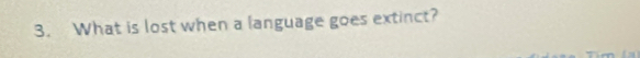 What is lost when a language goes extinct?
