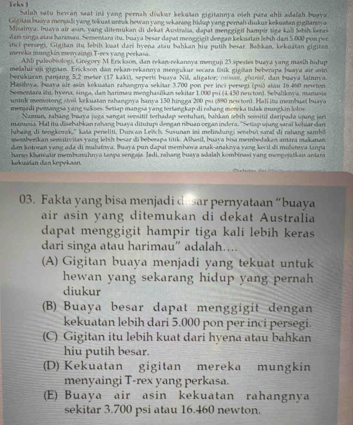 Yeks 1
Salah satu hewan saat ini yang pernah diukur kekutan gigitannya oleh para ahli adafah buava
Gigitan huaya menjadi yang tekuat untuk hewan yang sekarang hidup yang pernah diukur kekuatan gigitamiya
Misainya, buaya air asin, yang ditemükan di dekat Australia, dapat menggigit hampir tiga kall lebih keras
dani singa atau harimau. Sementara itu, buaya besar dapat menggigit dengan kekuatan lebih dari 5,000 pon per
inci persegi. Gigitan itu lebih kuat dari hyena atau bahkan hiu putih besar. Bahkan, kekuatan gigitan
mereka mungkin menyaingi T-rex yang perkasa.
Ahli paleobiologi, Gregory M Erickson, dan rekan-rekannya menguji 23 spesies buaya yang masih hidup
melalui uji gigitan. Erickson dan rekan-rekannya mengukur secara fisík gigitan beberapa buaya air asin
berukuran panjang 5,2 meter (17 kaki), seperti buaya Nil, aligator, omman, gharial, dan buaya lainnya.
Hasilnva, buava air asin kekuatan rahangnya sekitar 3.700 pon per inci persegi (psi) atau 16.460 newton
Sementara itu, hyena, singa, dan harimau menghasilkan sekitar 1.000 psi (4.450 newton). Sebaliknya, manusia
untuk memotong smk kekuatan rahangnya hanya 150 hingga 200 psi (890 newton). Hali itu membuat buaya
menjadi pemangsa yang sukses. Setiap mangsa yang tertangkap di rahang moreka tidak mungkin lolos
Namun, rahang buaya juga sangat sensitif terhadap sentuhan, bahkan febih sensitif daripada ujung jari
manusia. Hal itu disebabkan rahang buaya ditutupi dengan ribuan organ indera. 'Setiap ujung saraf keluar dari
Jubang di tengkorak," kata peneliti, Duncan Leitch. Susunan ini melindungi serabut saraf di rahang sambil
nemberikan sensitivitas yang lebih besar di beberapa titik. Alhasil, buaya bisa membedakan antara makanan
dan kotoran yang ada di mulutnya. Buayá pun dapat membawa anak-anaknya yang kecil di mulutnya tanpa
harus khawatir membunuhnya tanpa sengaja. Jadi, rahang buaya adalah kombinasi yang mengejutkan antara
kekuatan dan kepekaan.
03. Fakta yang bisa menjadi dasar pernyataan “buaya
air asin yang ditemukan di dekat Australia
dapat menggigit hampir tiga kali lebih keras
dari singa atau harimau” adalah….
(A) Gigitan buaya menjadi yang tekuat untuk
hewan yang sekarang hidup yang pernah
diukur
(B) Buaya besar dapat menggigit dengan
kekuatan lebih dari 5.000 pon per inci persegi.
(C) Gigitan itu lebih kuat dari hyena atau bahkan
hiu putih besar.
(D) Kekuatan gigitan mereka mungkin
menyaingi T-rex yang perkasa.
(E) Buaya air asin kekuatan rahangnya
sekitar 3.700 psi atau 16.460 newton.