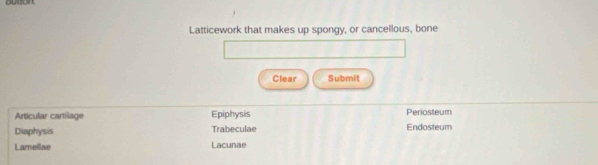 Latticework that makes up spongy, or cancellous, bone 
Clear Submit 
Articular cartilage Epiphysis Periosteum 
Diaphysis Trabeculae Endosteum 
Lamellae Lacunae