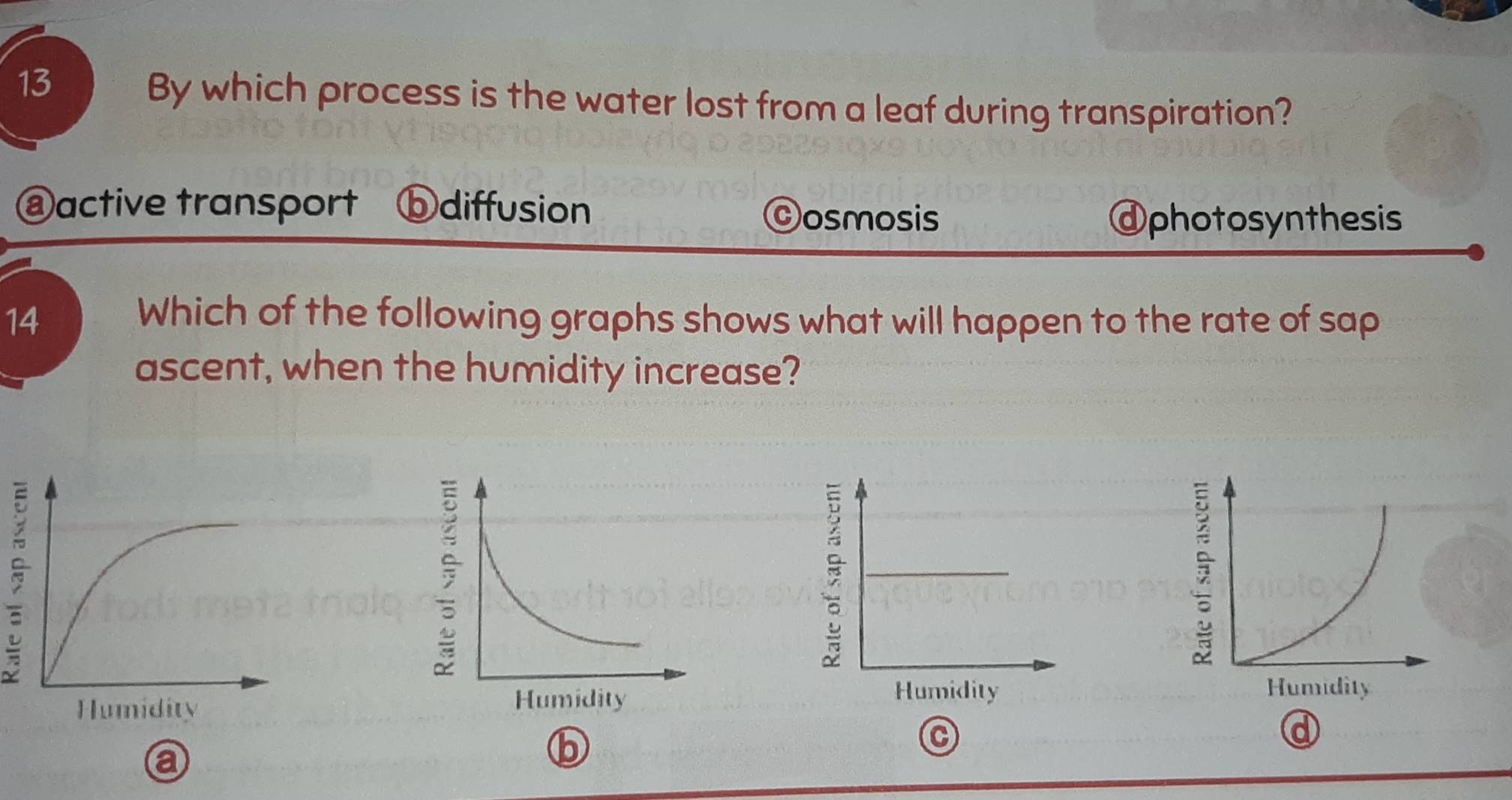Solved: By which process is the water lost from a leaf during ...