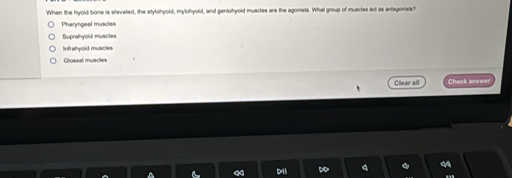 When the hyoid bone is elevated, the stylohyoid, mylohyoid, and geniohyoid muscles are the agonists. What group of muscles act as antagonists?
Pharyngeal muscles
Suprahyoid muscles
Infrahyoid muscles
Glossal muscies
Clear all Check answer
“