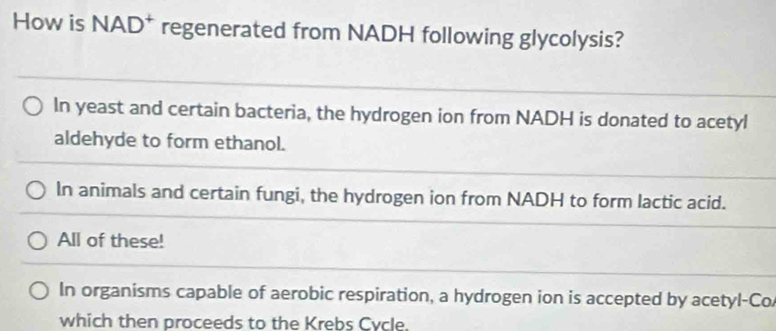 How is NAD* regenerated from NADH following glycolysis?
In yeast and certain bacteria, the hydrogen ion from NADH is donated to acetyl
aldehyde to form ethanol.
In animals and certain fungi, the hydrogen ion from NADH to form lactic acid.
All of these!
In organisms capable of aerobic respiration, a hydrogen ion is accepted by acetyl-Co
which then proceeds to the Krebs Cycle.