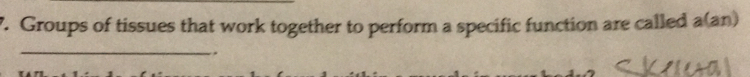 Groups of tissues that work together to perform a specific function are called a(an) 
_ 
..