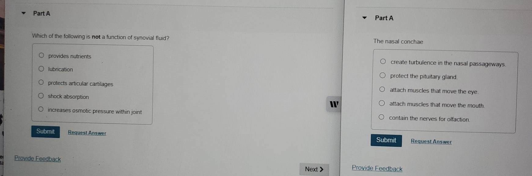 Which of the following is not a function of synovial fluid? The nasal conchae
provides nutrients create turbulence in the nasal passageways.
lubrication
protect the pituitary gland.
protects articular cartilages attach muscles that move the eye.
shock absorption W attach muscles that move the mouth.
increases osmotic pressure within joint contain the nerves for olfaction.
Submit Request Answer
Submit Request Answer
Provide Feedback Provide Feedback
Next >