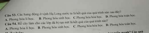 Các hang động ở vịnh Hạ Long nước ta là kết quả của quá trình nào sau đây?
A. Phong hóa lí học. B. Phong hóa sinh học. C.Phong hóa hóa học. D. Phong hóa toán học.
Câu 54. Rễ cây làm cho các lớp đá bị rạn nứt là kết quả của quá trình nào?
A. Phong hóa lí học. B. Phong hóa sinh học. C. Phong hóa hóa học. D. Phong hóa toán học.
s n manh? Các quá