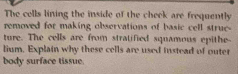 The cells lining the inside of the cheek are frequently 
removed for making observations of basic cell strue- 
ture. The cells are from stratified squamous epithe- 
lium, Explain why these cells are used instead of outet 
body surface tissue.