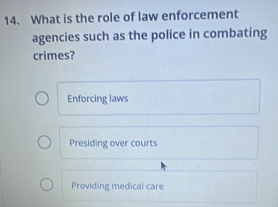 What is the role of law enforcement
agencies such as the police in combating
crimes?
Enforcing laws
Presiding over courts
Providing medical care