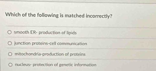 Which of the following is matched incorrectly?
smooth ER- production of lipids
junction proteins-cell communication
mitochondria-production of proteins
nucleus- protection of genetic information