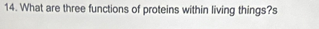 What are three functions of proteins within living things?s