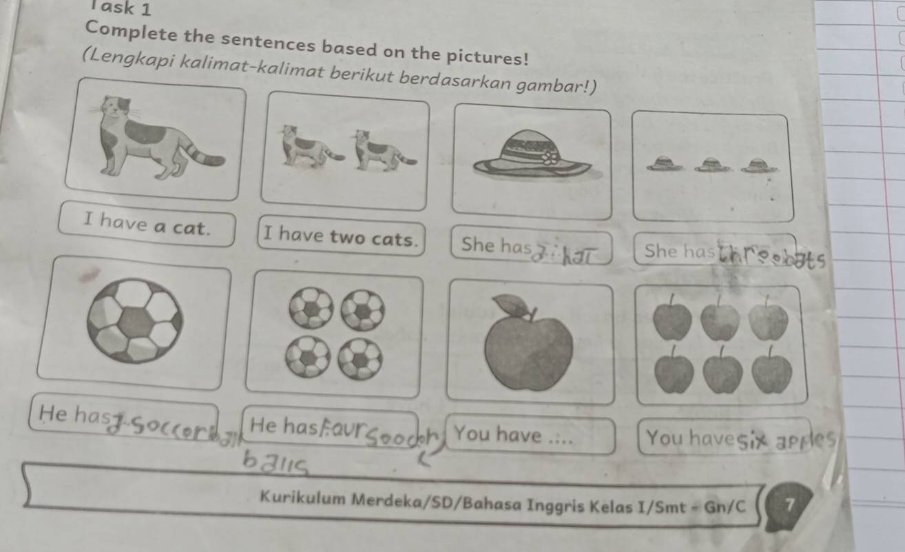 ask 1 
Complete the sentences based on the pictures! 
(Lengkapi kalimat-kalimat berikut berdasarkan gambar!) 
I have a cat. I have two cats. She has 
She has 
He ha He has You have .... You have 
Kurikulum Merdeka/SD/Bahasa Inggris Kelas I/Smt - Gn/C 7