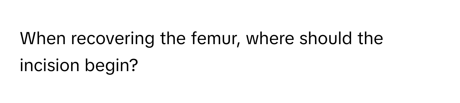 When recovering the femur, where should the incision begin?