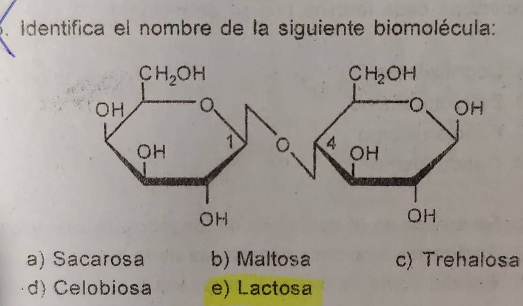 Identifica el nombre de la siguiente biomolécula:
a) Sacarosa b) Maltosa c) Trehalosa
d) Celobiosa e) Lactosa