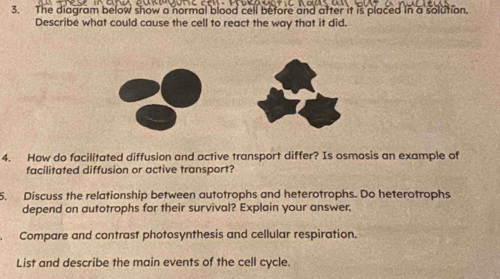 The diagram below show a normal blood cell before and after it is placed in a solution. 
Describe what could cause the cell to react the way that it did. 
4. How do facilitated diffusion and active transport differ? Is osmosis an example of 
facilitated diffusion or active transport? 
5. Discuss the relationship between autotrophs and heterotrophs. Do heterotrophs 
depend on autotrophs for their survival? Explain your answer. 
Compare and contrast photosynthesis and cellular respiration. 
List and describe the main events of the cell cycle.