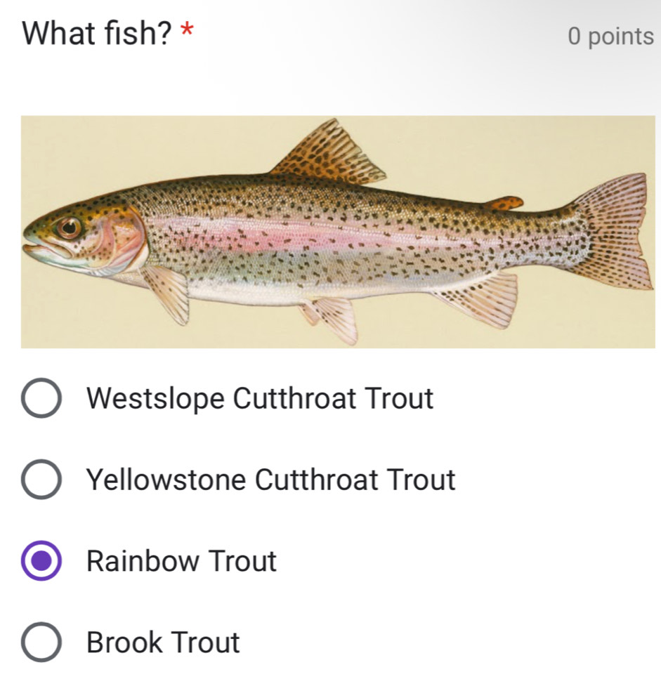 Solved: What fish? * 0 points Westslope Cutthroat Trout Yellowstone ...