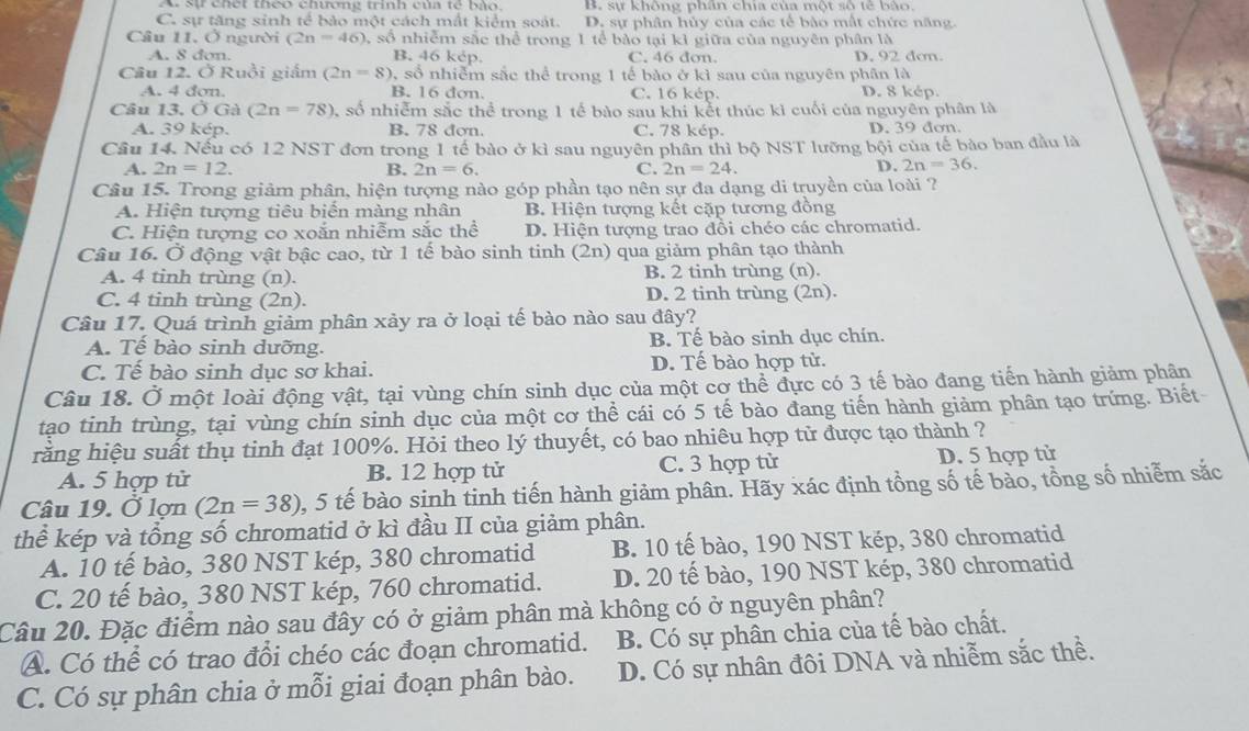 A sự chết theo chương trính cúh tế bảo, B. sự không phần chia của một số tế bào.
C. sự tăng sinh tể bảo một cách mất kiểm soát. D. sự phân hủy của các tế bào mất chức năng.
Câu 11. Ở người (2n=46) ,số nhiễm sắc thể trong 1 tể bảo tại kỉ giữa của nguyên phân là
A. 8 don. B. 46 kép. C. 46 don. D. 92 don.
Câu 12. Ở Ruồi giám (2n=8) , số nhiễm sắc thể trong 1 tế bào ở kì sau của nguyên phân là
A. 4 don. B. 16 don. C. 16 kép. D. 8 kép
Câu 13. OGd(2n=78) 0, số nhiễm sắc thể trong 1 tế bào sau khi kết thúc kì cuối của nguyên phân là
A. 39 kép. B. 78 đơn. C. 78 kép. D. 39 dơn.
Câu 14. Nếu có 12 NST đơn trong 1 tế bào ở kì sau nguyên phần thì bộ NST lưỡng bội của tế bào ban đầu là
A. 2n=12. B. 2n=6. C. 2n=24.
D. 2n=36.
Câu 15. Trong giảm phân, hiện tượng nào góp phần tạo nên sự đa dạng di truyền của loài ?
A. Hiện tượng tiêu biển màng nhân B. Hiện tượng kết cặp tương đồng
C. Hiện tượng co xoắn nhiễm sắc thể D. Hiện tượng trao đồi chéo các chromatid.
Câu 16. Ở động vật bậc cao, từ 1 tế bào sinh tinh (2n) qua giảm phân tạo thành
A. 4 tinh trùng (n). B. 2 tinh trùng (n).
C. 4 tinh trùng (2n). D. 2 tinh trùng (2n).
Câu 17. Quá trình giảm phân xảy ra ở loại tế bào nào sau đây?
A. Tế bào sinh dưỡng. B. Tế bào sinh dục chín.
C. Tế bào sinh dục sơ khai. D. Tế bào hợp tử.
Câu 18. Ở một loài động vật, tại vùng chín sinh dục của một cơ thể đực có 3 tế bào đang tiến hành giảm phân
tạo tinh trùng, tại vùng chín sinh dục của một cơ thể cái có 5 tế bào đang tiến hành giảm phân tạo trứng. Biết
răng hiệu suất thụ tinh đạt 100%. Hỏi theo lý thuyết, có bao nhiêu hợp tử được tạo thành ?
A. 5 hợp tử B. 12 hợp tử C. 3 hợp từ D. 5 hợp tử
Câu 19. Ở lợn (2n=38) 0, 5 tế bào sinh tinh tiến hành giảm phân. Hãy xác định tồng số tế bào, tổng số nhiễm sắc
thể kép và tổng số chromatid ở kì đầu II của giảm phân.
A. 10 tế bào, 380 NST kép, 380 chromatid B. 10 tế bào, 190 NST kěp, 380 chromatid
C. 20 tế bào, 380 NST kép, 760 chromatid. D. 20 tế bào, 190 NST kép, 380 chromatid
Câu 20. Đặc điểm nào sau đây có ở giảm phân mà không có ở nguyên phân?
A. Có thể có trao đổi chéo các đoạn chromatid. B. Có sự phân chia của tế bào chất.
C. Có sự phân chia ở mỗi giai đoạn phân bào. D. Có sự nhân đôi DNA và nhiễm sắc thể.