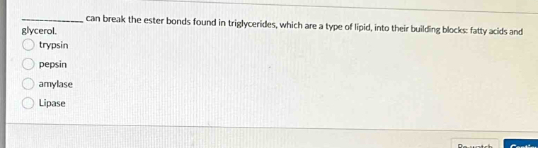 can break the ester bonds found in triglycerides, which are a type of lipid, into their building blocks: fatty acids and
glycerol.
trypsin
pepsin
amylase
Lipase