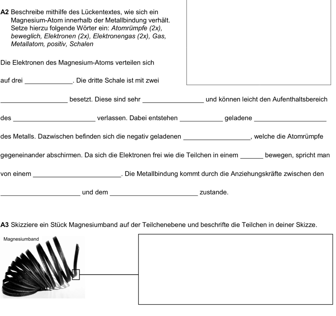 A2 Beschreibe mithilfe des Lückentextes, wie sich ein 
Magnesium-Atom innerhalb der Metallbindung verhält. 
Setze hierzu folgende Wörter ein: Atomrümpfe (2x), 
beweglich, Elektronen (2x), Elektronengas (2x), Gas, 
Metallatom, positiv, Schalen 
Die Elektronen des Magnesium-Atoms verteilen sich 
auf drei_ . Die dritte Schale ist mit zwei 
_besetzt. Diese sind sehr _und können leicht den Aufenthaltsbereich 
des _verlassen. Dabei entstehen _geladene_ 
des Metalls. Dazwischen befinden sich die negativ geladenen _, welche die Atomrümpfe 
gegeneinander abschirmen. Da sich die Elektronen frei wie die Teilchen in einem _bewegen, spricht man 
von einem _. Die Metallbindung kommt durch die Anziehungskräfte zwischen den 
_und dem_ zustande. 
A3 Skizziere ein Stück Magnesiumband auf der Teilchenebene und beschrifte die Teilchen in deiner Skizze. 
Magnesiumband