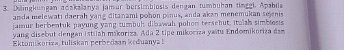 Dilingkungan adakalanya jamur bersimbiosis dengan tumbuhan tinggi. Apabila 
anda melewati daerah yang ditanami pohon pinus, anda akan menemukan sejenis 
jamur berbentuk payung yang tumbuh dibawah pohon tersebut, itulah simbiosis 
yang disebut dengan istilah mikoriza. Ada 2 tipe mikoriza yaitu Endomikoriza dan 
Ektomikoriza, tuliskan perbedaan keduanya !