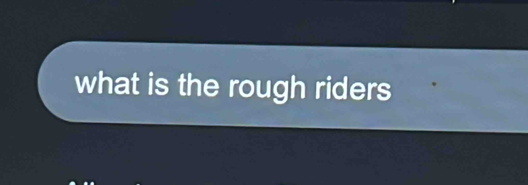 what is the rough riders