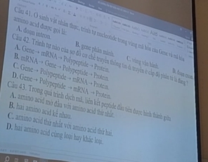 == == vc = h2g = 
amino acid được gọi li: A. doạn intron. B. gene phần mành.
Cầu 41, O sinh vật nhân thực, trình tự nuclectide trong vùng mã bòa của Gene và mấ h C. vùng văn hình
Câu 42. Trình tự nào của sơ đồ cơ chế tryền thông tin đã truyền ở cập độ phản tà là đing
A. Gene→ mRNA→ Polypeptide → Protein D. Ôm chm
B. mRNA→ Gene →+ Polypeptide →+ Protein
C. Gene →+ Polypeptide→+ mRNA →+ Protein
D.Gene→ Polypeptide → mRNA → Protein
Cầu 43. Trong quả trình dịch mã, liên kết peptide đầu tiên được hình thành giản
A. amino acid mở đầu với amino acid thứ nhất
B. hai amino acid kể nhau.
C. amino acid thứ nhất với amino acid thứ hai.
D. hai amino acid cùng loại hay khác loại.
… —