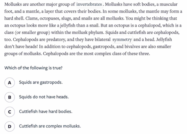 Mollusks are another major group of invertebrates . Mollusks have soft bodies, a muscular
foot, and a mantle, a layer that covers their bodies. In some mollusks, the mantle may form a
hard shell. Clams, octopuses, slugs, and snails are all mollusks. You might be thinking that
an octopus looks more like a jellyfish than a snail. But an octopus is a cephalopod, which is a
class (or smaller group) within the mollusk phylum. Squids and cuttlefish are cephalopods,
too. Cephalopods are predatory, and they have bilateral symmetry and a head. Jellyfish
don’t have heads! In addition to cephalopods, gastropods, and bivalves are also smaller
groups of mollusks. Cephalopods are the most complex class of these three.
Which of the following is true?
A Squids are gastropods.
B Squids do not have heads.
C Cuttlefish have hard bodies.
D Cuttlefish are complex mollusks.