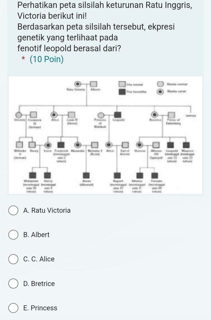 Perhatikan peta silsilah keturunan Ratu Inggris,
Victoria berikut ini!
Berdasarkan peta silsilah tersebut, ekpresi
genetik yang terlihaat pada
fenotif leopold berasal dari?
* (10 Poin)
A. Ratu Victoria
B. Albert
C. C. Alice
D. Bretrice
E. Princess