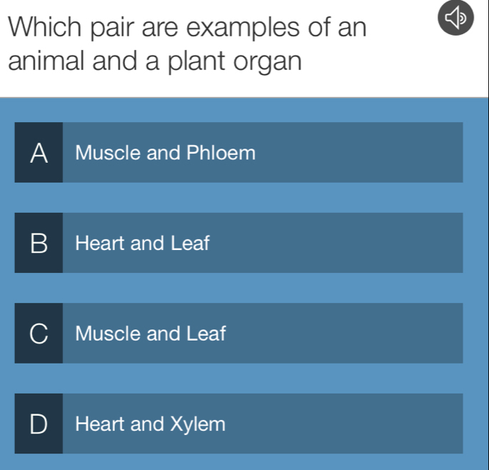 Which pair are examples of an
animal and a plant organ
AT Muscle and Phloem

B Heart and Leaf
a Muscle and Leaf
Heart and Xylem