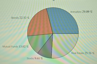 Mutual Funds 13.02 %
%