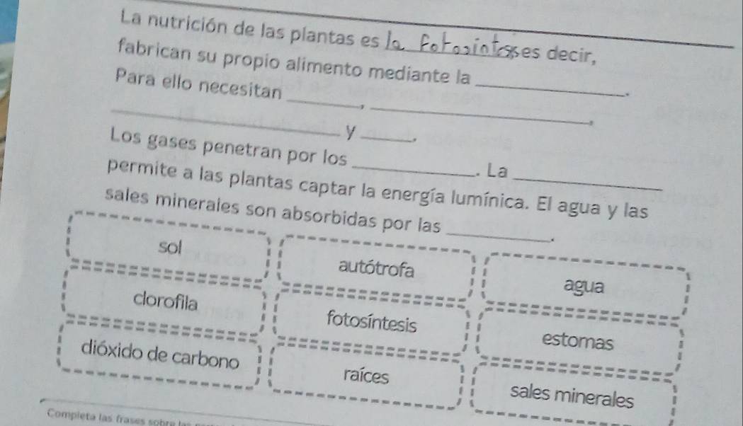 La nutrición de las plantas es 1 T õ es decir,
_
fabrican su propio alimento mediante la _.
_
Para ello necesitan
_1
`
y ,
Los gases penetran por los_
. La
permite a las plantas captar la energía lumínica. El agua y las
_
sales minerales son absorbidas por las
.
sol autótrofa
agua
clorofila fotosíntesis
estomas
dióxido de carbono raíces sales minerales
Compieta las frases sobre l