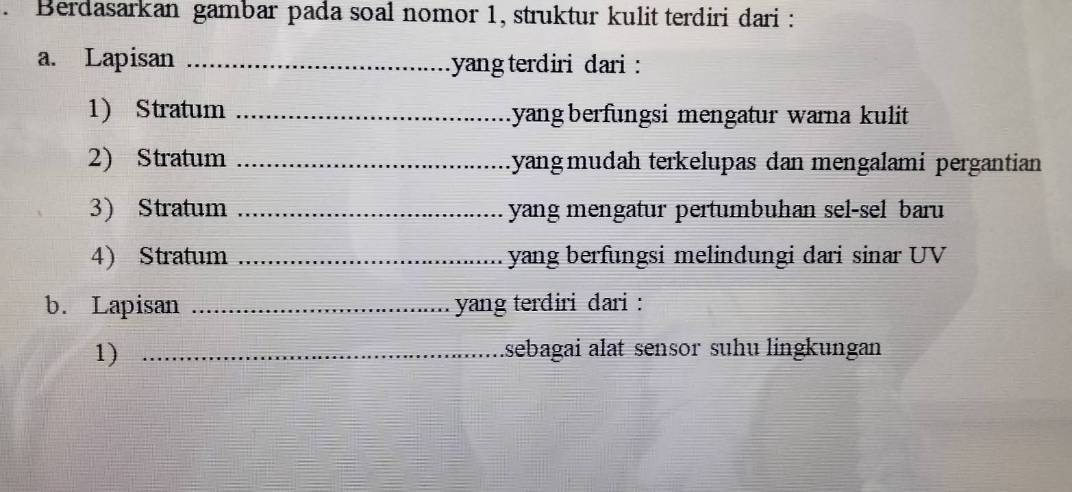 Berdasarkan gambar pada soal nomor 1, struktur kulit terdiri dari : 
a. Lapisan _yang terdiri dari : 
1) Stratum _Lyang berfungsi mengatur warna kulit 
2) Stratum _Lyangmudah terkelupas đan mengalami pergantian 
3) Stratum _yang mengatur pertumbuhan sel-sel baru 
4) Stratum _yang berfungsi melindungi dari sinar UV 
b. Lapisan _yang terdiri dari : 
1) _Isebagai alat sensor suhu lingkungan