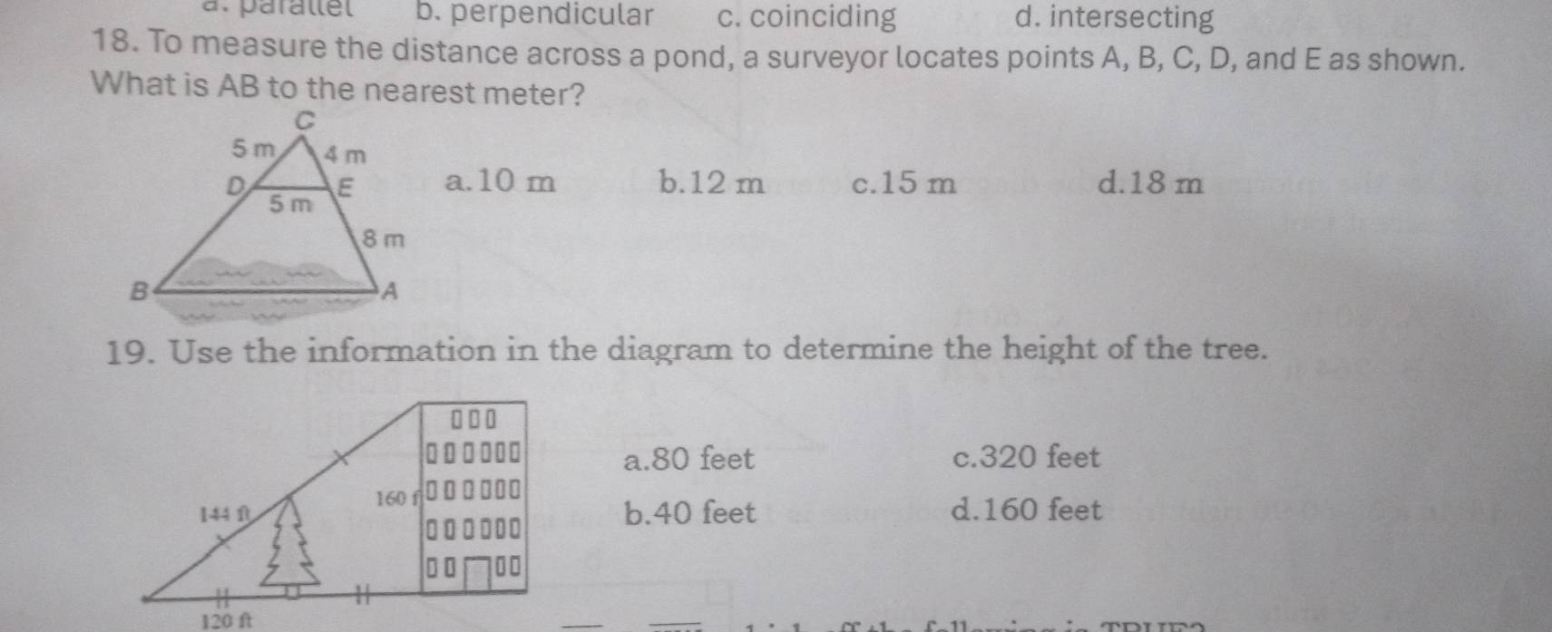 a. parallel b. perpendicular c. coinciding d. intersecting
18. To measure the distance across a pond, a surveyor locates points A, B, C, D, and E as shown.
What is AB to the nearest meter?
a. 10 m b. 12 m c. 15 m d. 18 m
19. Use the information in the diagram to determine the height of the tree.
a. 80 feet c. 320 feet
b. 40 feet d. 160 feet